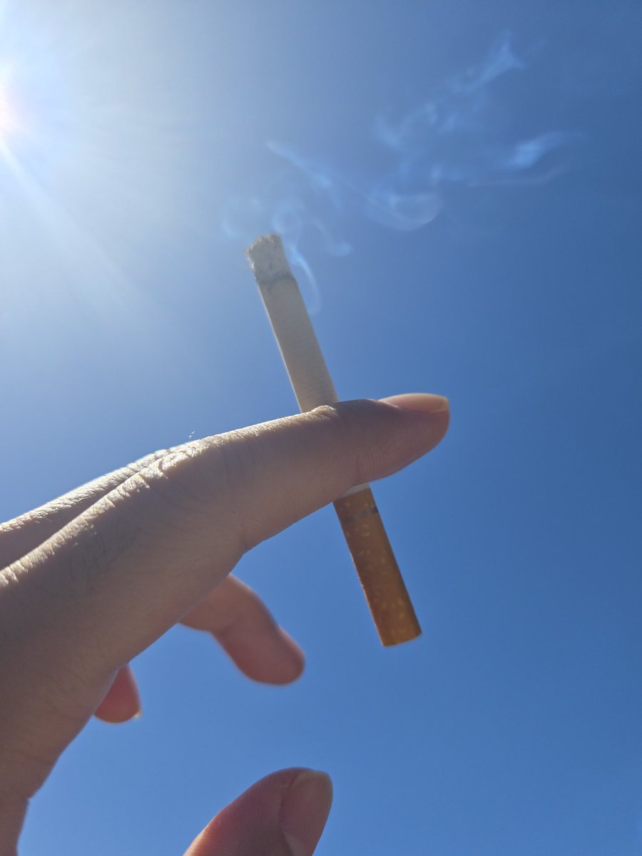 ﾕﾍﾟﾁｬｿﾏｿ✧︎𝕐𝕘𝕘𝕕𝕣𝕒𝕤𝕚𝕝𝕝 tweet media