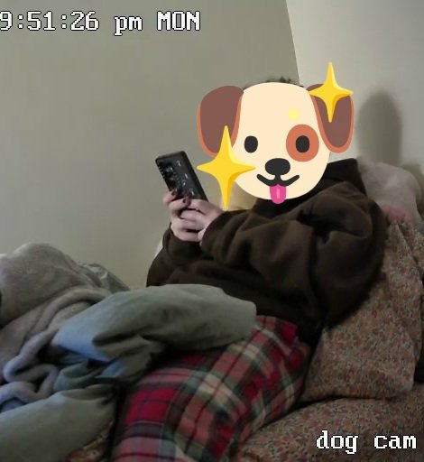 dumb dogboy🐾ᐡ ᐧ ﻌ ᐧ ᐡ tweet media