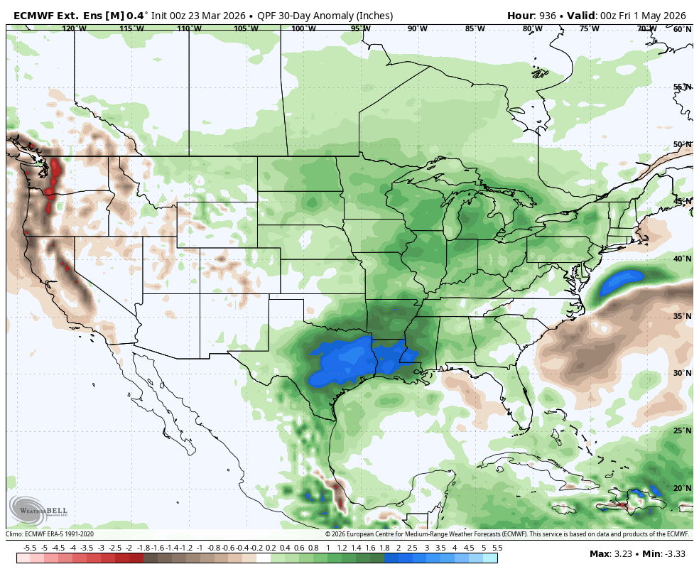 The American Storm tweet media