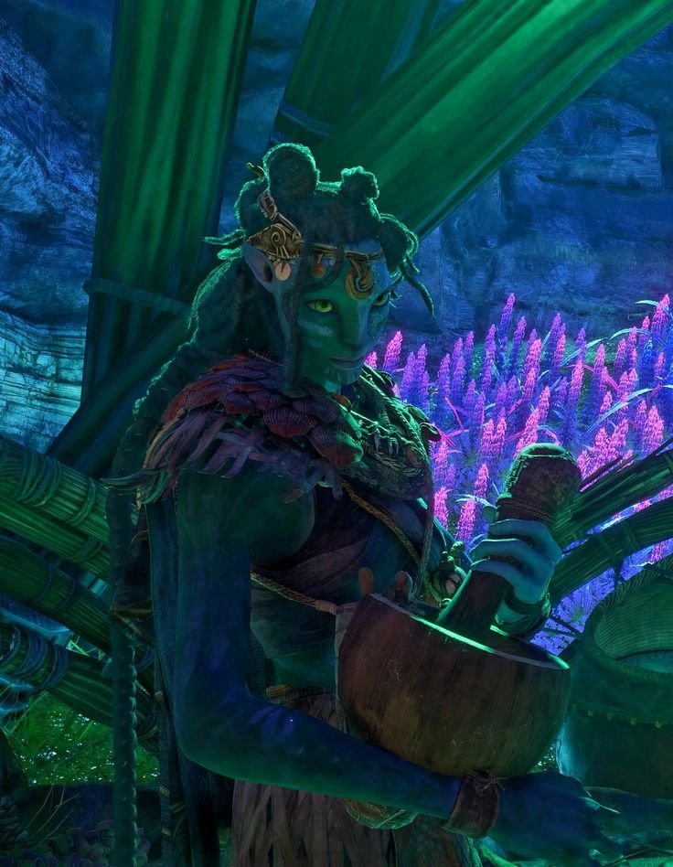 TJ ღ Tanselle Pilled tweet media