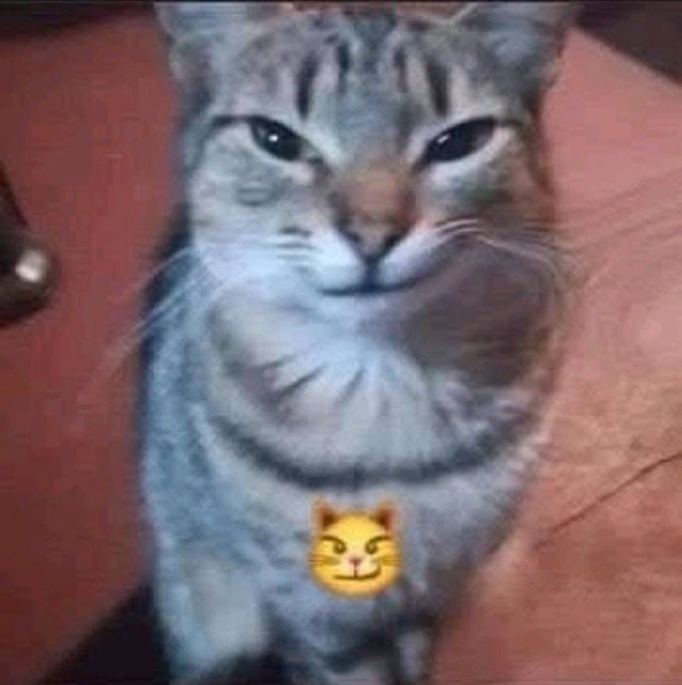 CHEEZE ִ ࣪𖤐.ᐟ tweet media