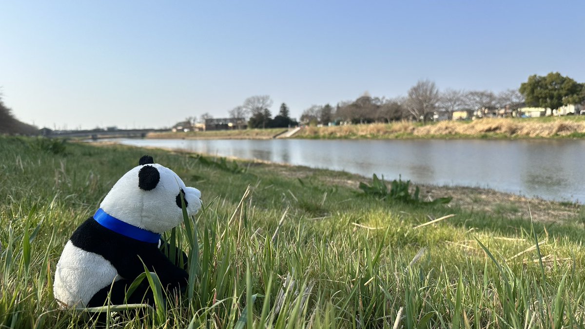 芝生に座るだけでも地球を感じられる。 自然ともっと遊ぼう。 そこから 