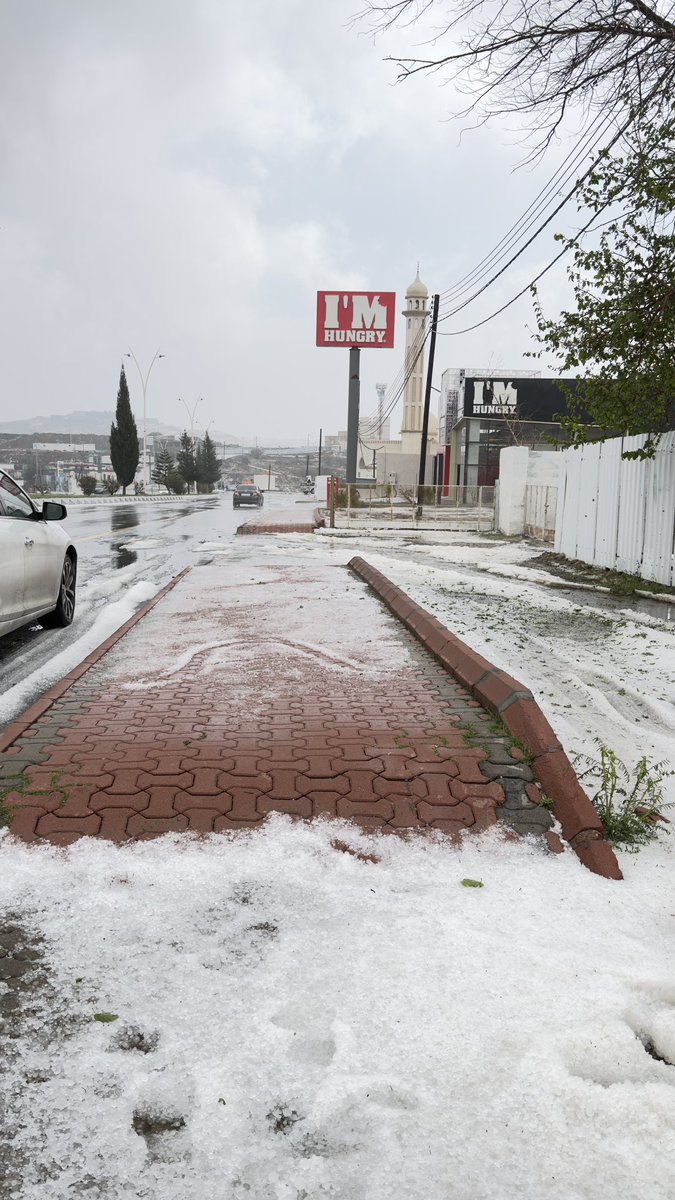 in another life tweet media