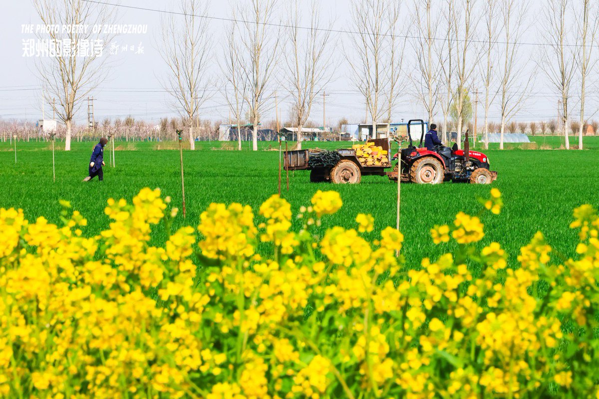 Susan（互fo） tweet media