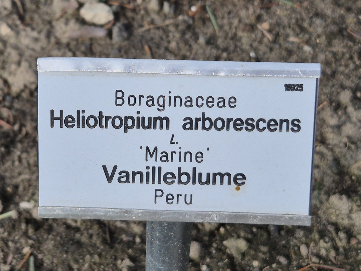 Antje Strauch tweet media