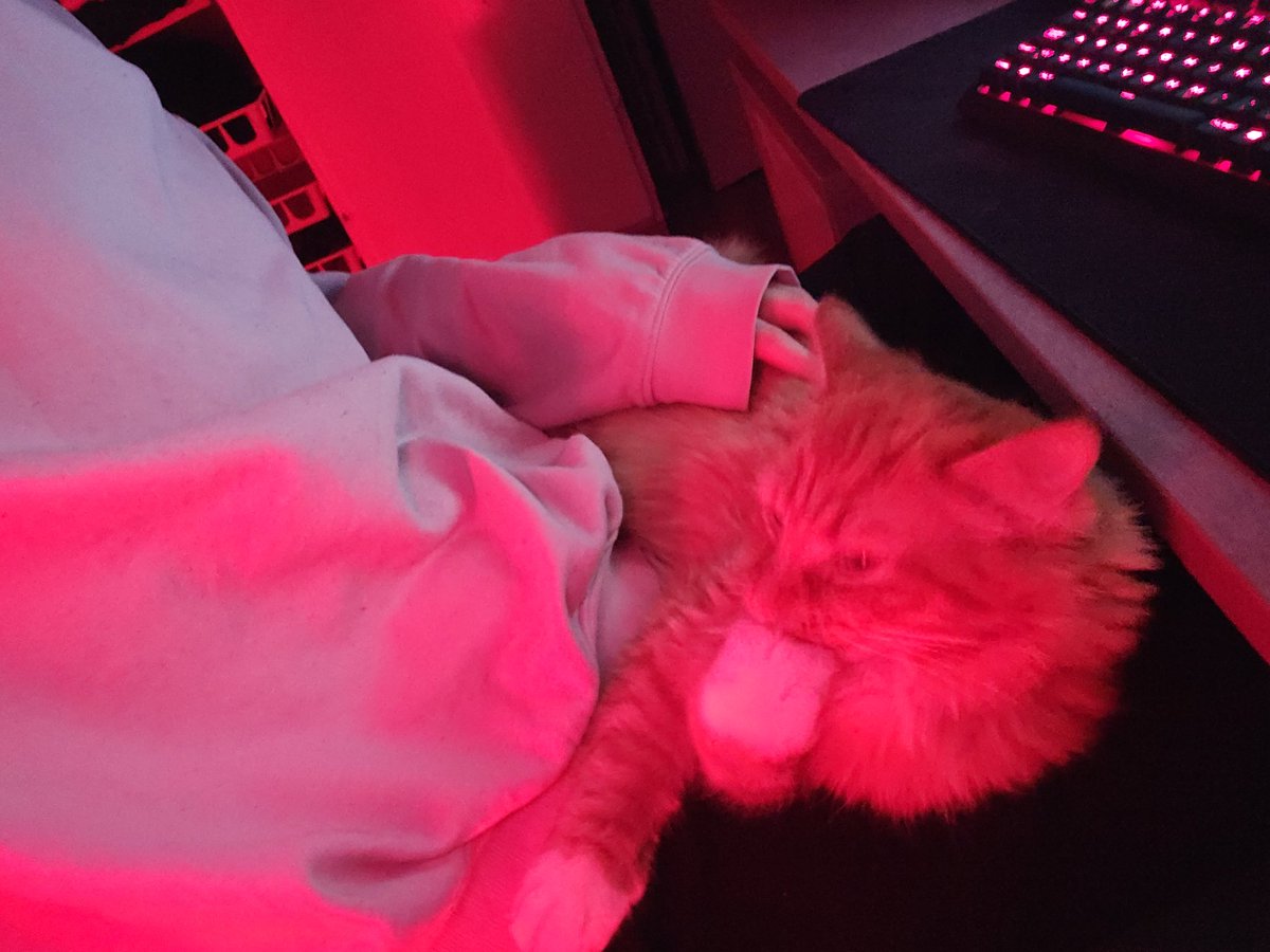 Ahug 🇸🇪 tweet media