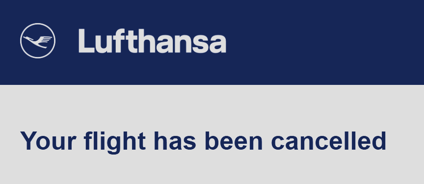 David 🦖 דיויד tweet media