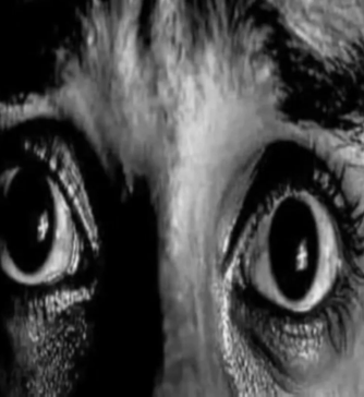 Cola 🇵🇸 tweet media