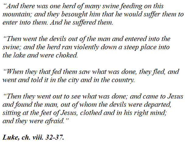 StattoLOI tweet media