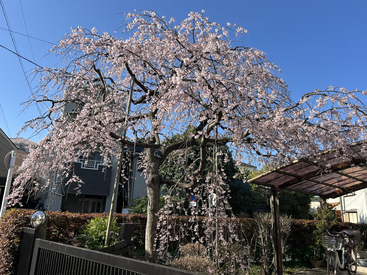 カズさん（じいさん tweet media