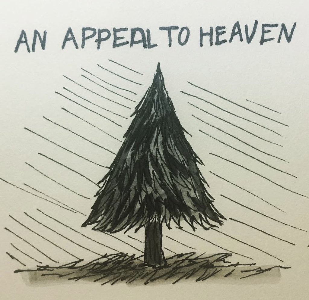 Gira(ギラー) 八月🔞MDNI🔞 tweet media