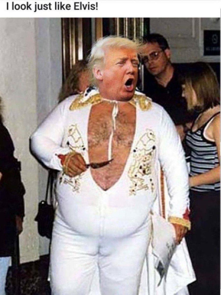 Stivali Ryder 🌊🇺🇲🌻🇺🇦♀️ 🌈 🇨🇦 #BlueCrew tweet media