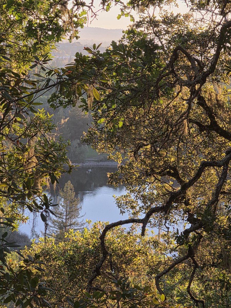 Gotitas De Sal tweet media