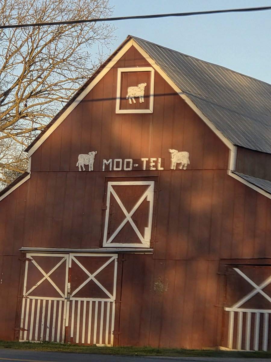 JONNY CARROTS 🥕 tweet media