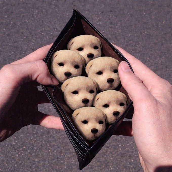 Spawn /https arc/ tweet media