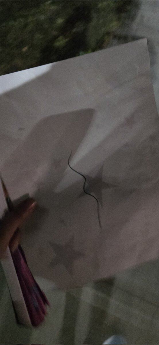 ✩₊˚.☪︎ electra! ⵣ 🇵🇸 tweet media