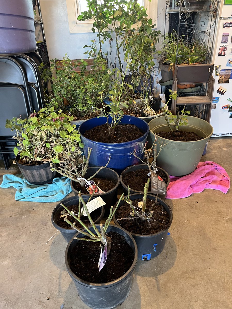 Randy Wells tweet media