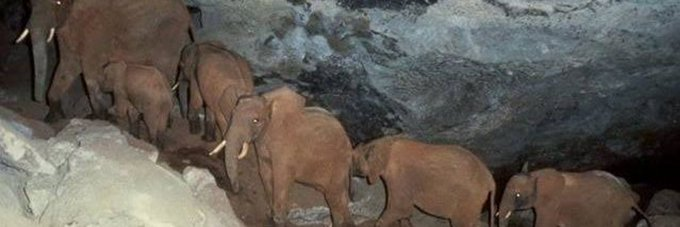 readonlydocument tweet media