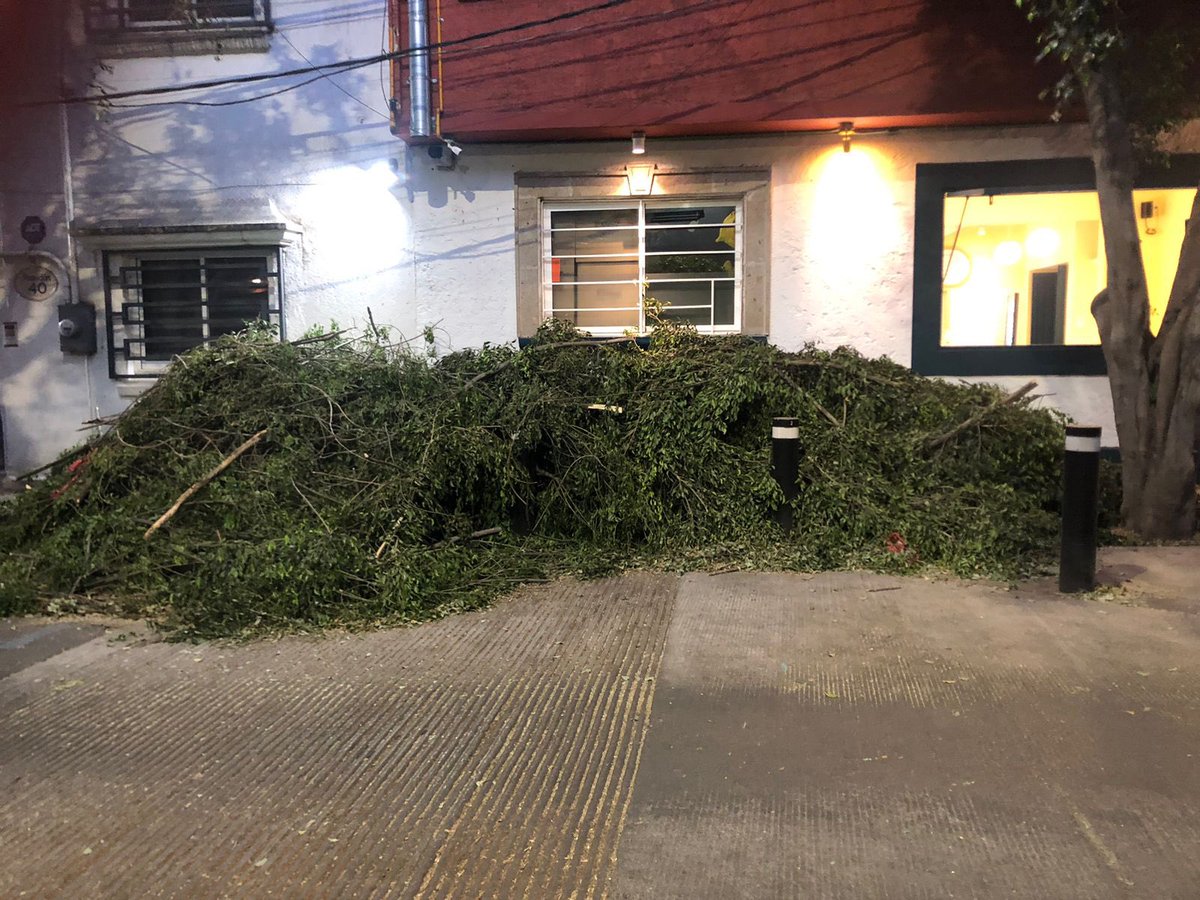 Crédito Constructor tweet media