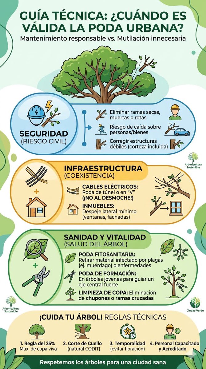 Crédito Constructor tweet media