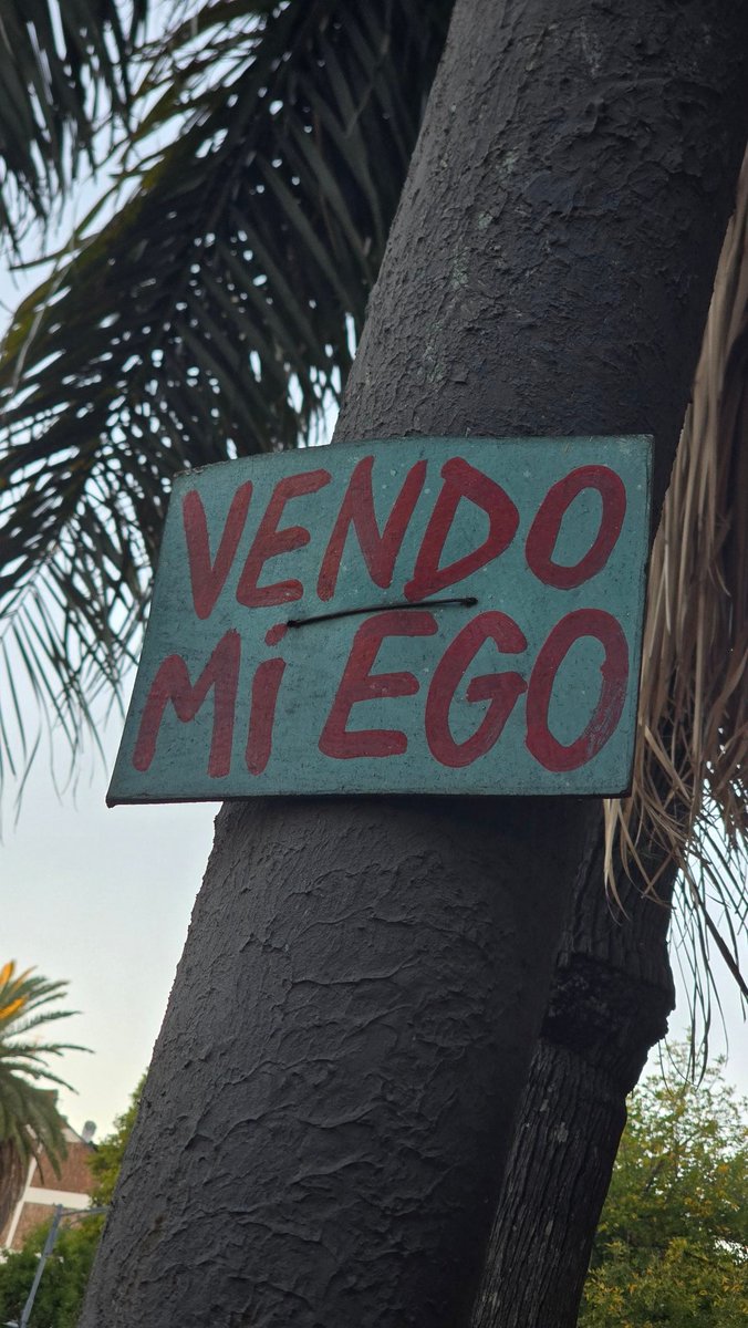 Joselo 🏋🏽 tweet media