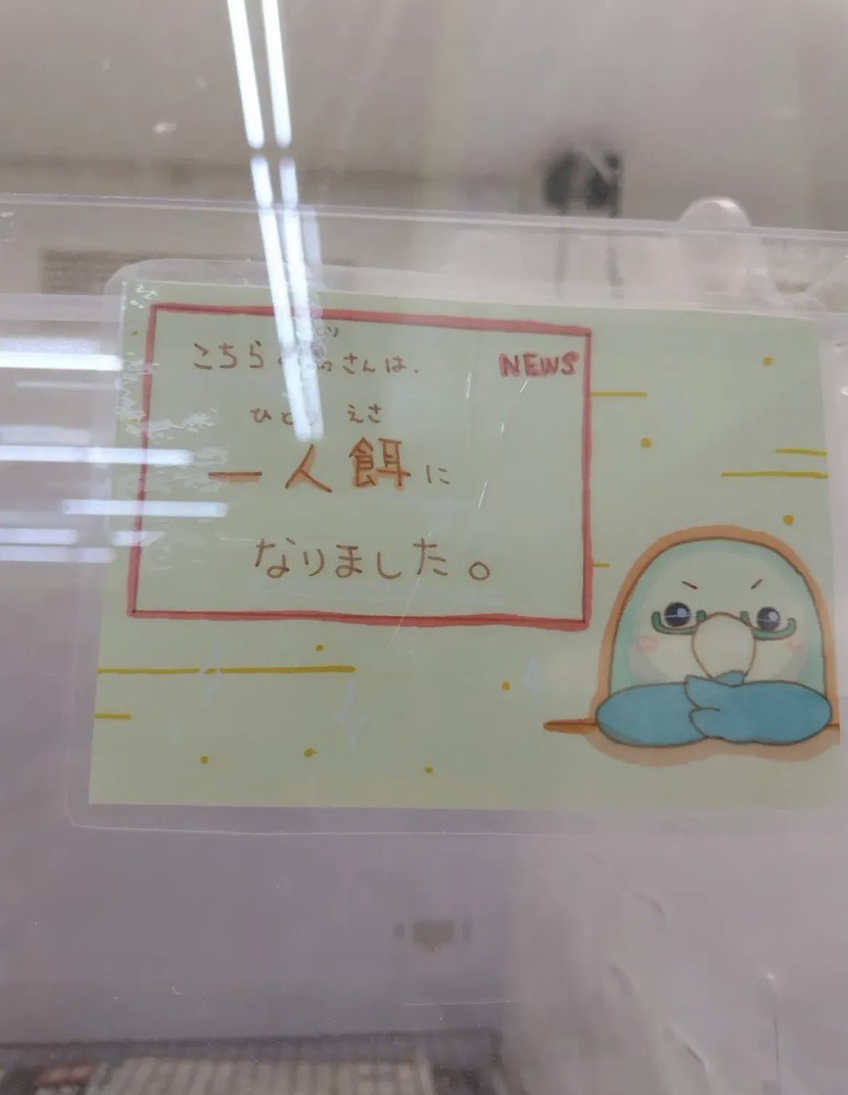 ぽてち🐹🦜 tweet media