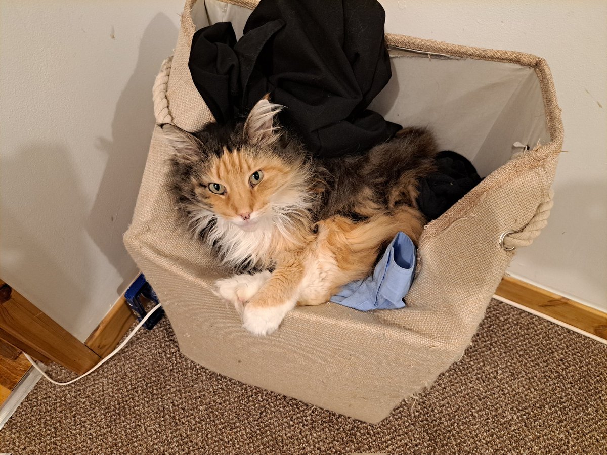 Fella formally known as... tweet media