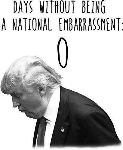 Amber Jehangir🇵🇰🇵🇸 tweet media