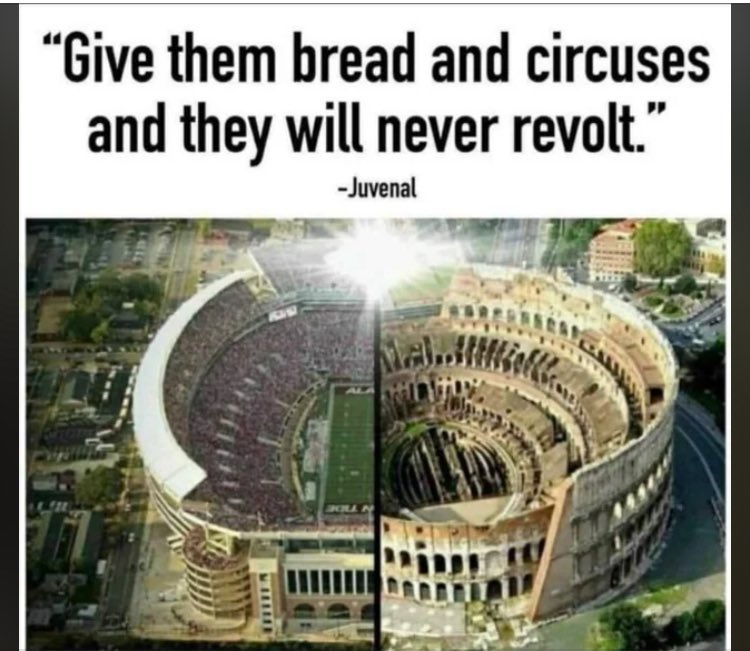 BowtiedNostrich tweet media