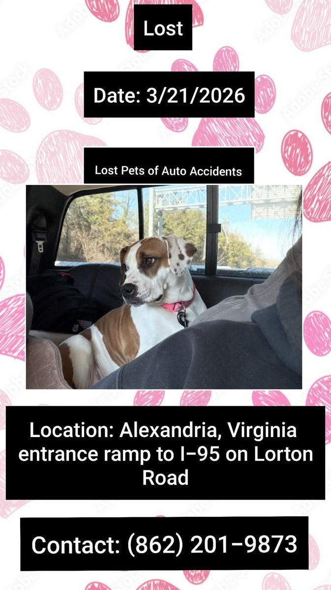 Christine J Arepaki tweet media