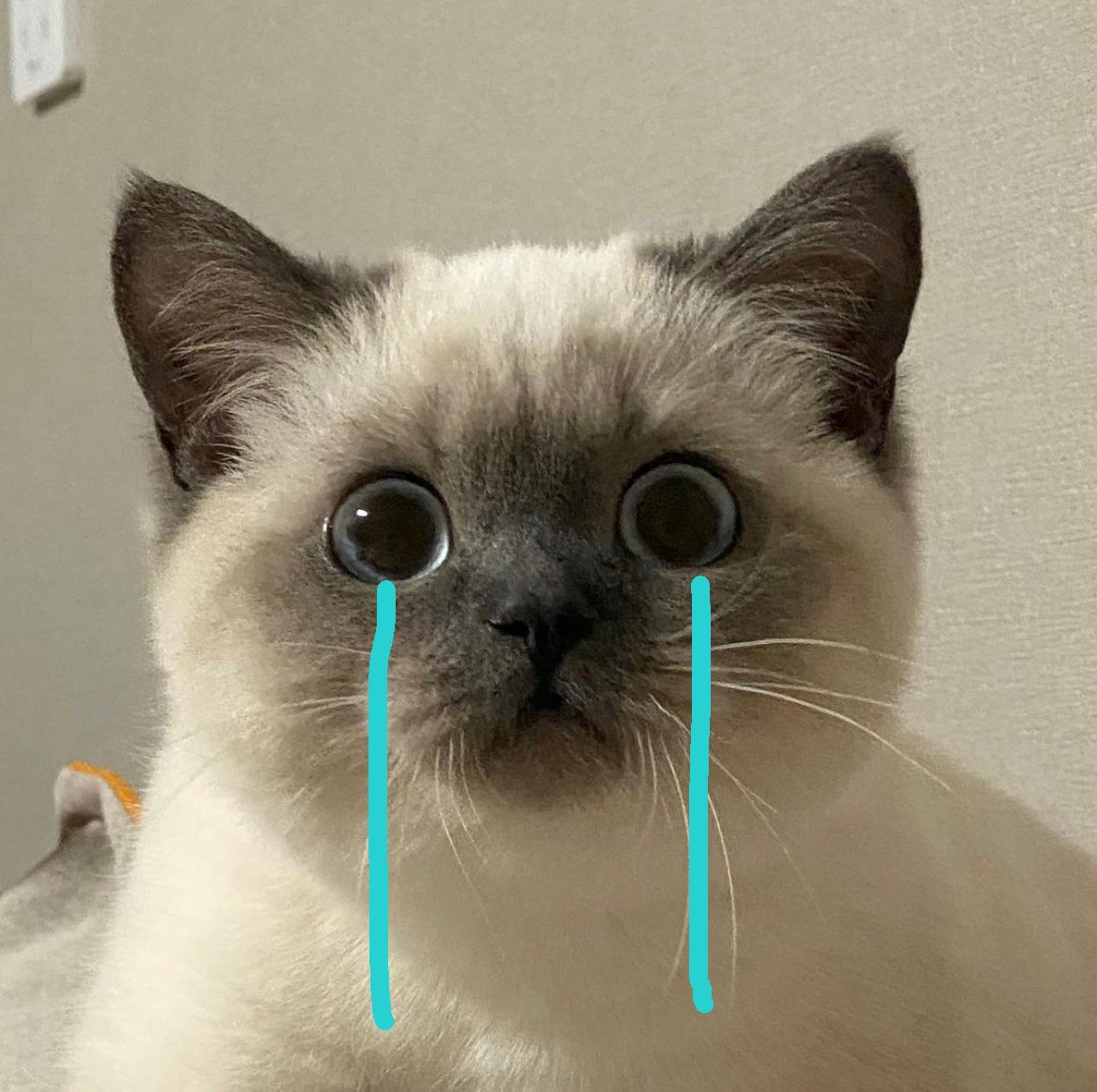 คุนจิ้ด tweet media