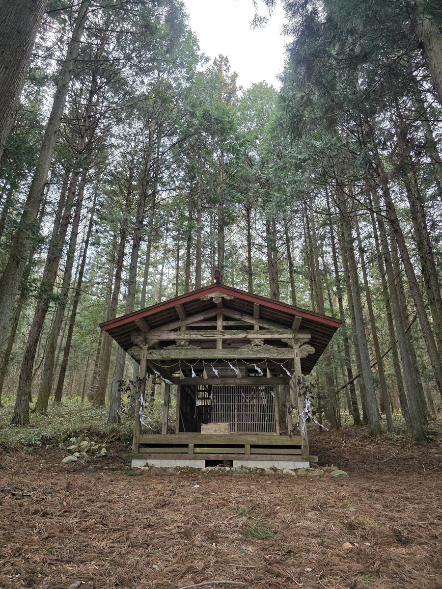 しなの tweet media