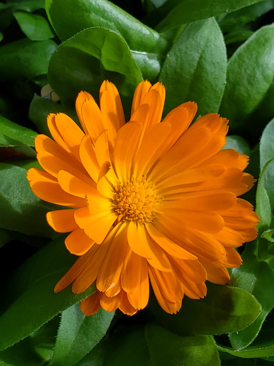 マーブル　全ての方にお返し出来てません、ご理解して下さい tweet media