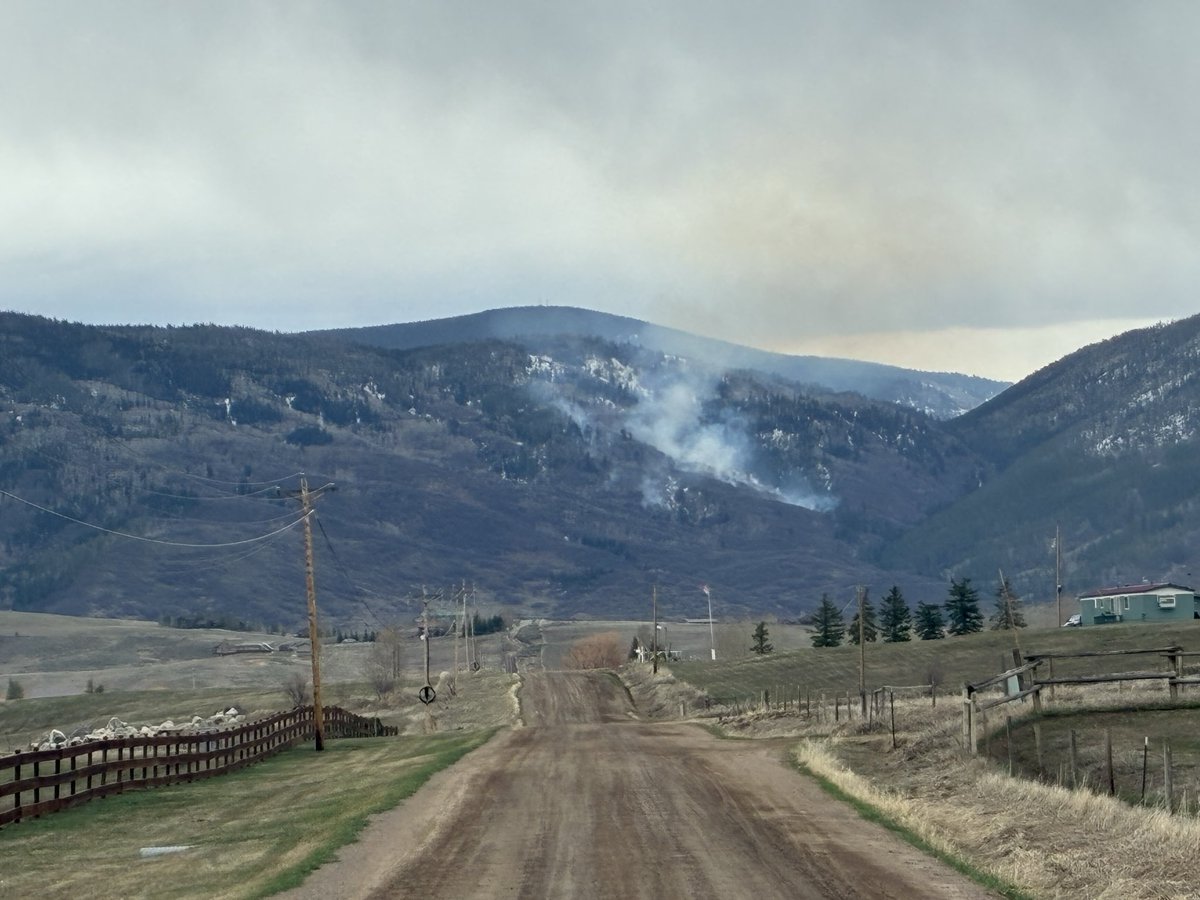 Medicine Bow-Routt NFs & Thunder Basin NG tweet media