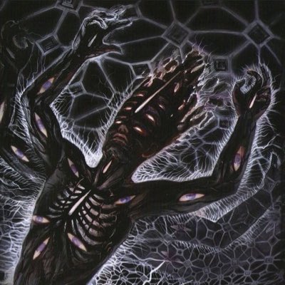 new killer america tweet media