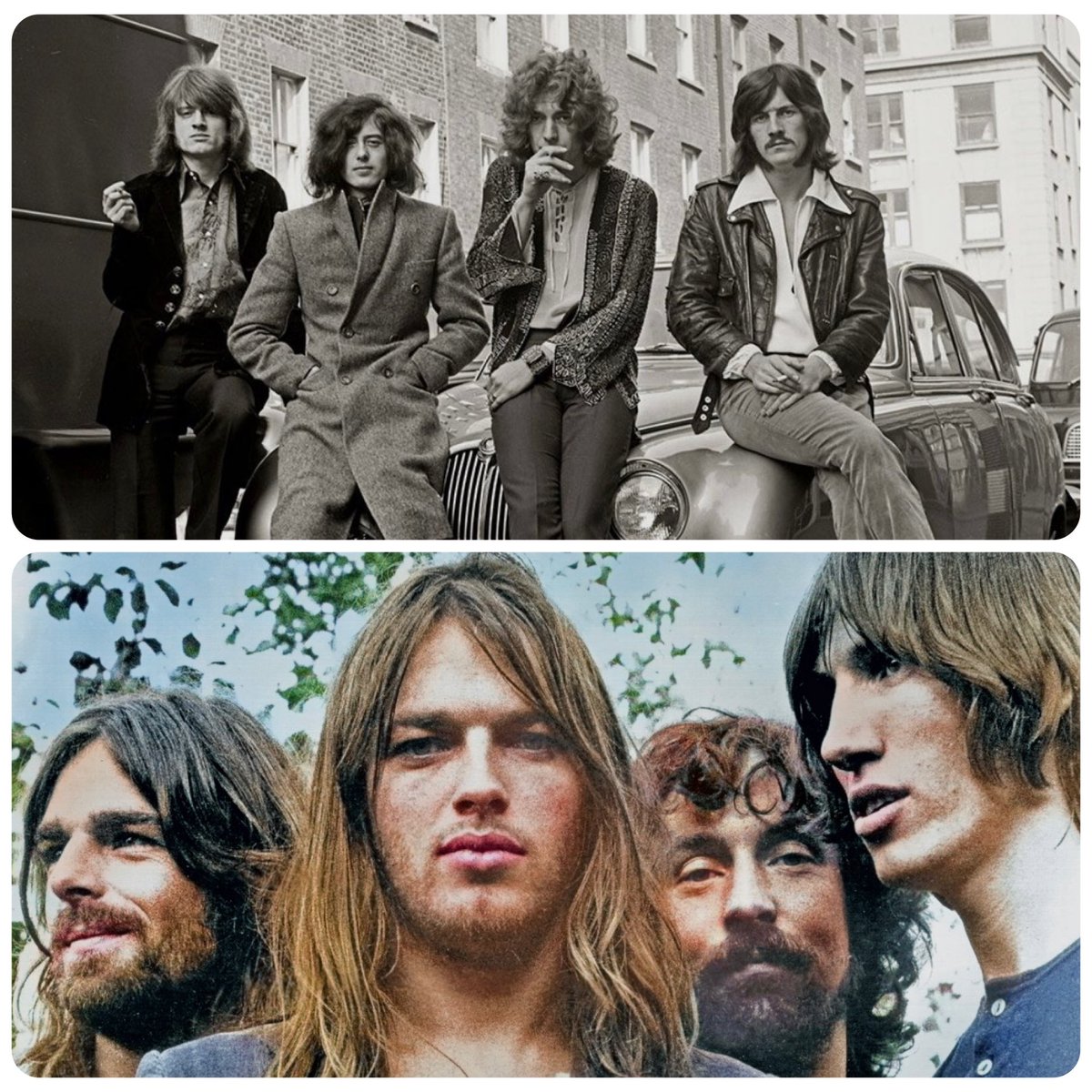 Les Purves tweet media