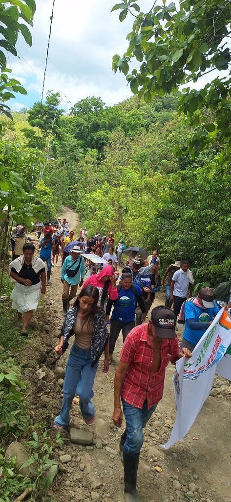 Comunidad de Paz San José de Apartadó tweet media