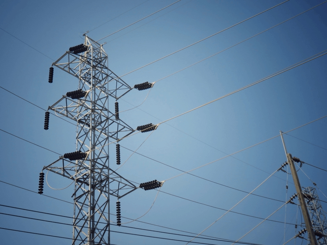 القبس tweet media