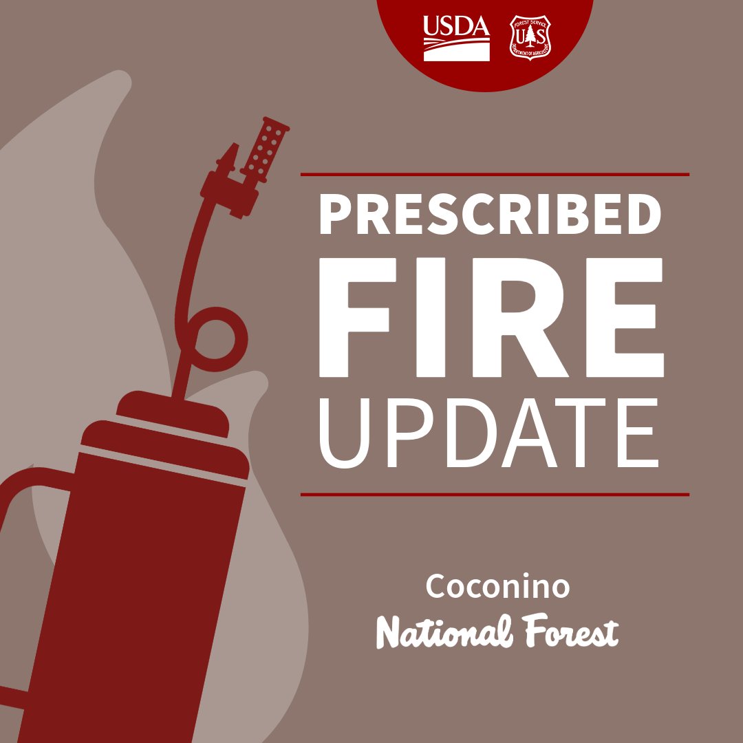 Coconino NF tweet media