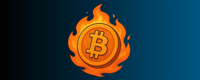 Andrew Throuvalas 🟠💎 tweet media