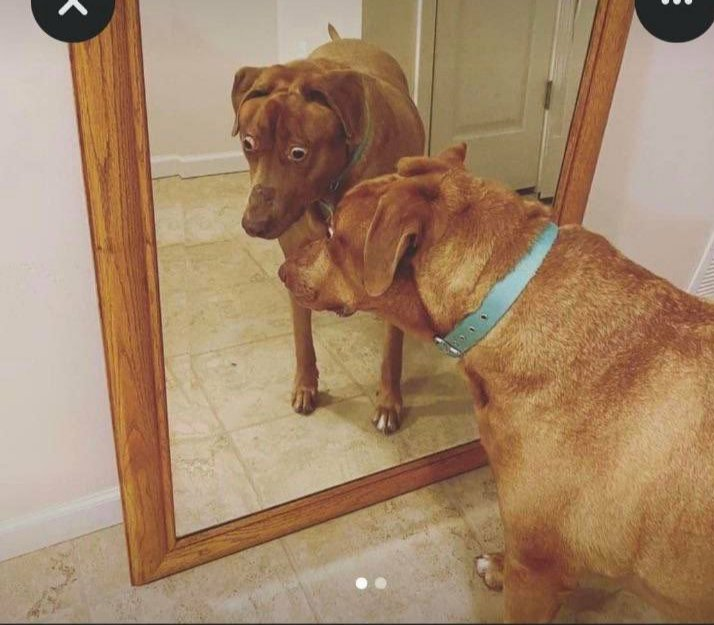 Jason the Witch (Puyo Puyo) fan 🇨🇱 tweet media