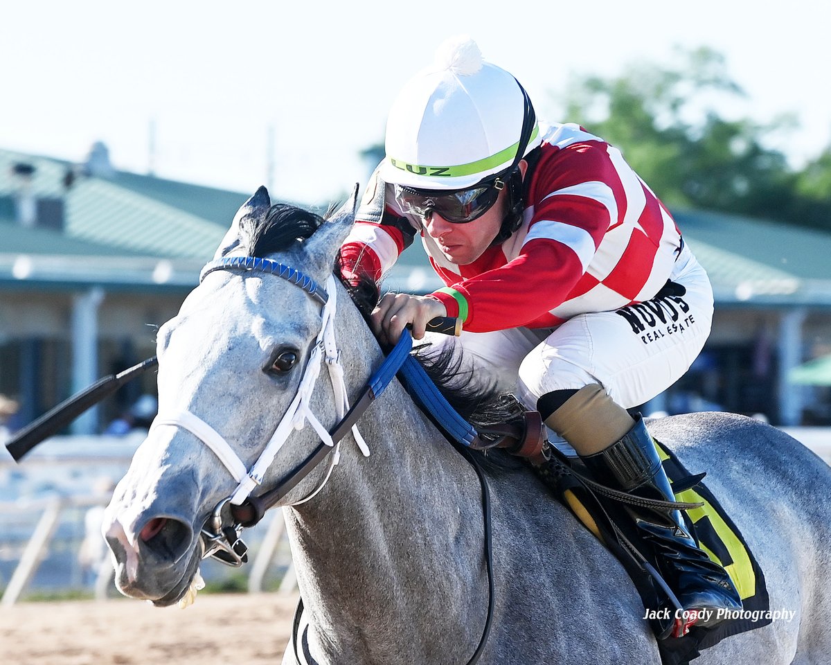 Sam Houston Race Park tweet media