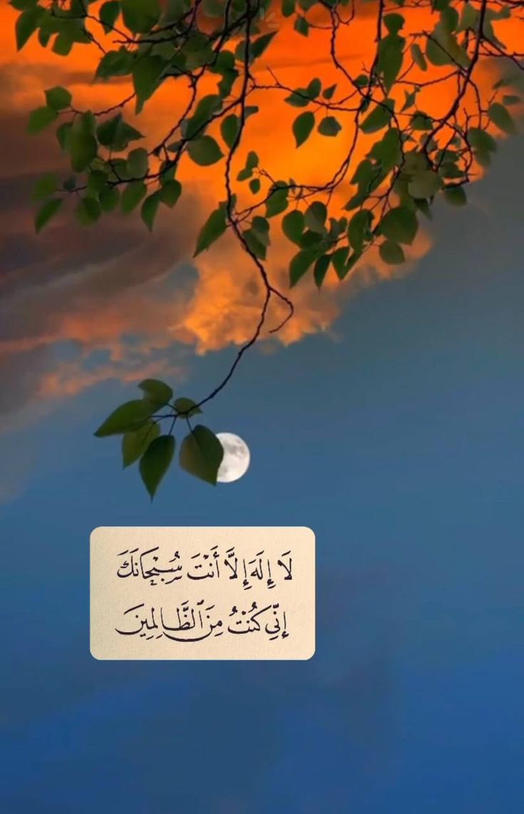 فَاسْتَجَبْنَا لَهُ وَنَجَّيْنَاهُ مِنَ الْغَمِّ🧡..
