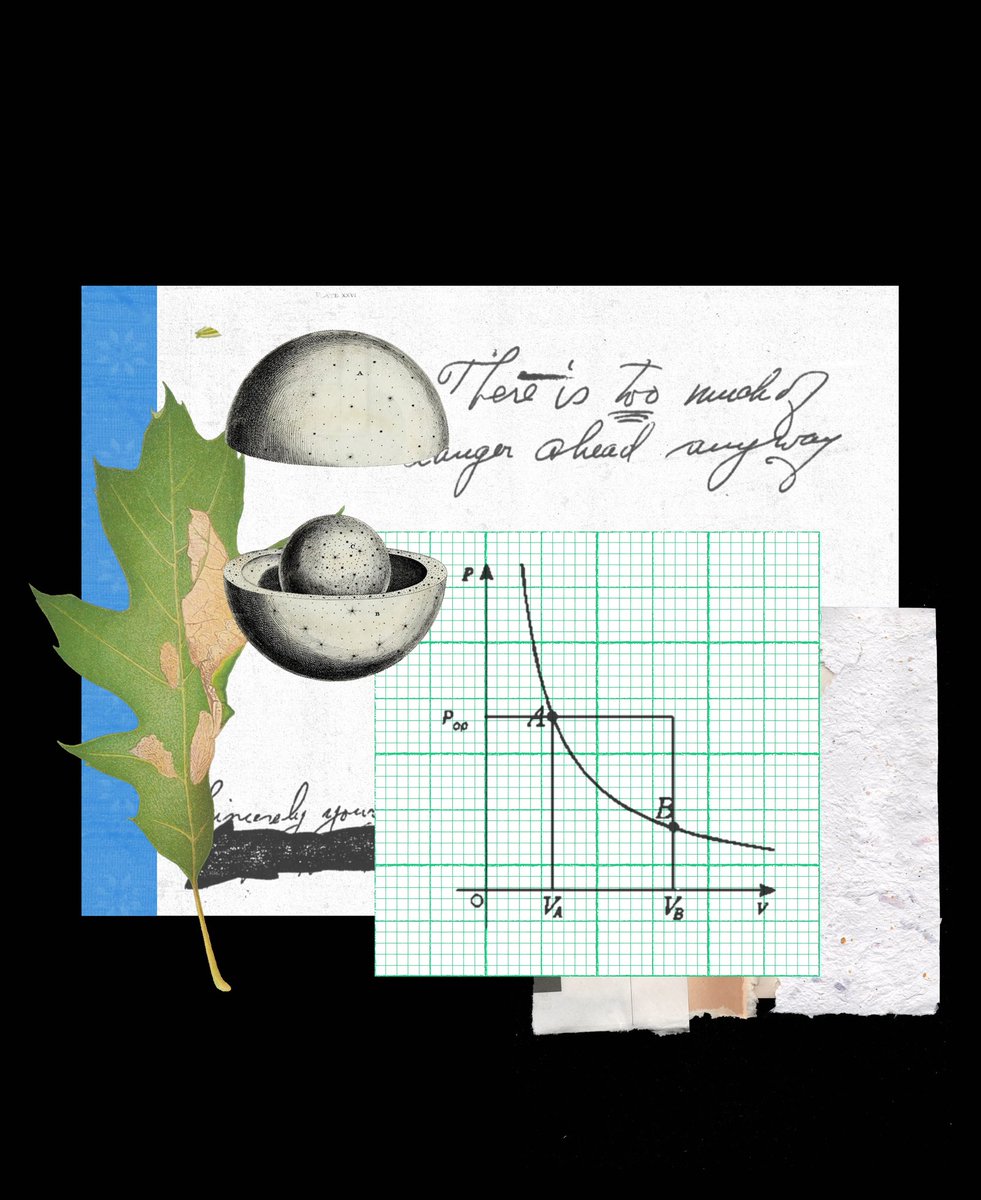 siddharth ✢ tweet media