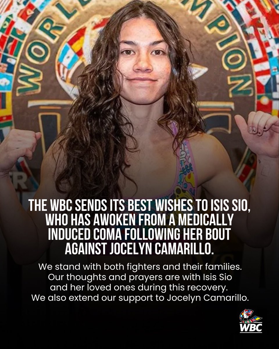 World Boxing Council tweet media
