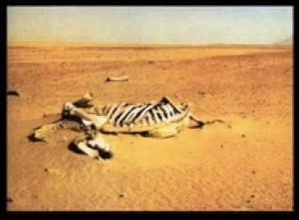 Dummyiscool tweet media