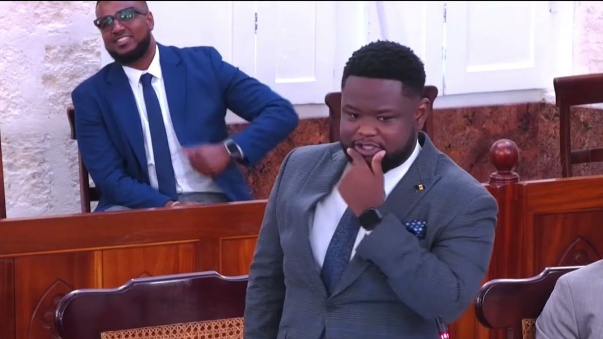 Independent Senator Jamal Slocombe says there was nothing wrong with ...
