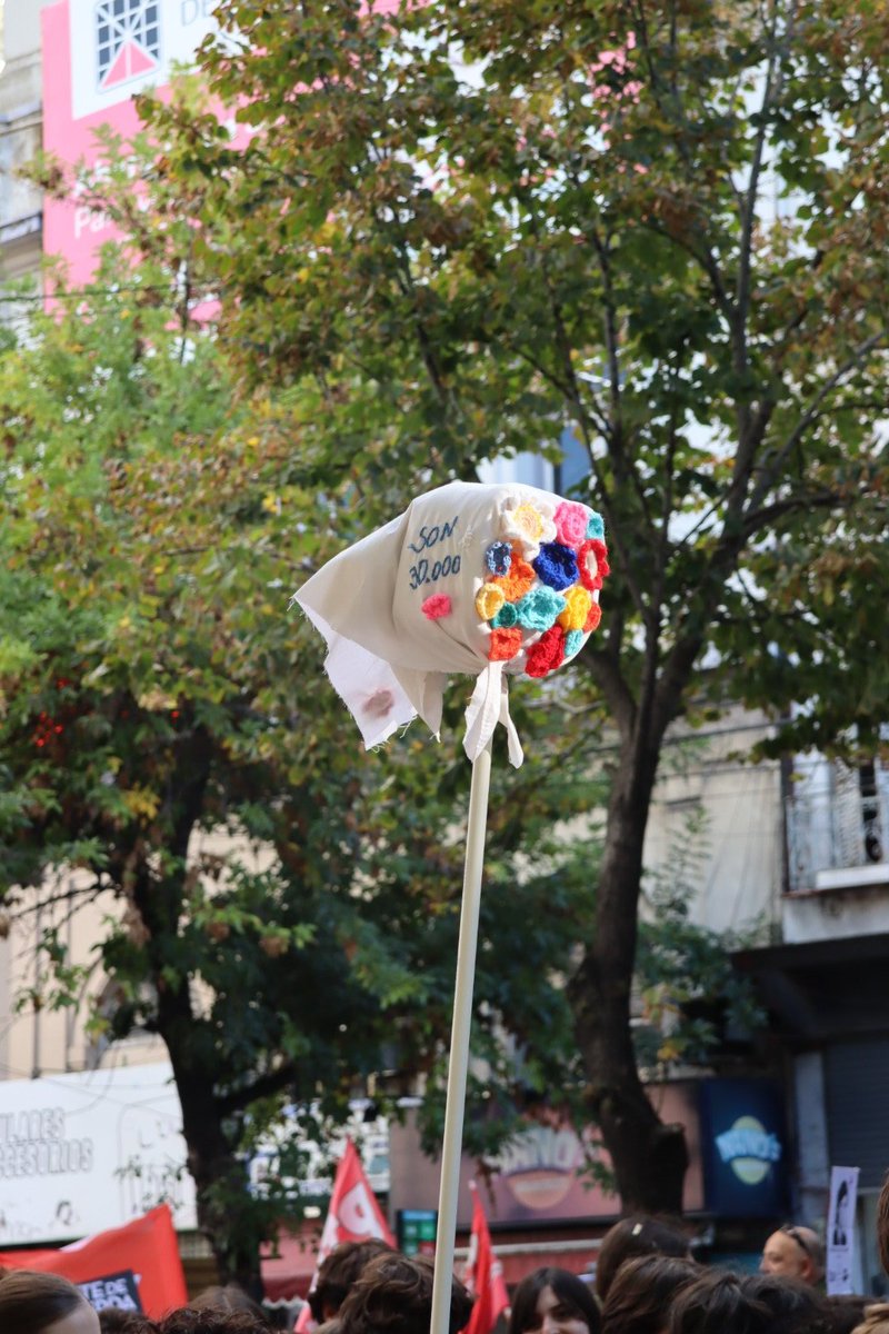 Bárbara Dibene tweet media