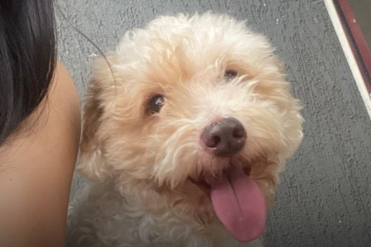 Cuarto Poder Py tweet media