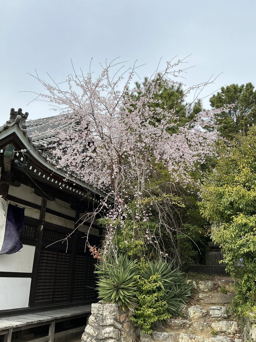 BECHA☆ tweet media